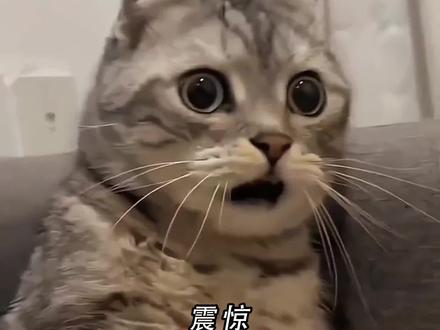 豆包简直太强大了#豆包app #ai工具 #ai生图