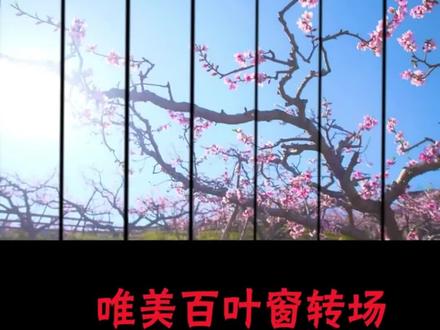 【PR视频剪辑教程】PR软件制作唯美百叶窗转场效果并不难,pr实用小案例~干货收藏。 #pr教程 #pr教程新手 #视频剪辑 #视频剪辑课 #pr视频剪辑培训 #pr剪辑 #pr剪辑技巧 #pr #pr视频剪辑 #视频剪辑教程 #pr软件 #影视后期教程 #影视后期培训