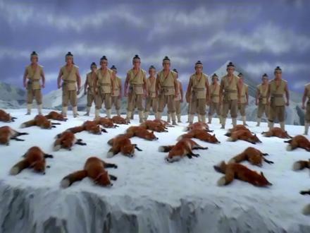 在雪山救了100只狐狸!#邵氏 #你是否在雪山救过一只狐狸 #搞笑 #酱板鸭 #狐狸