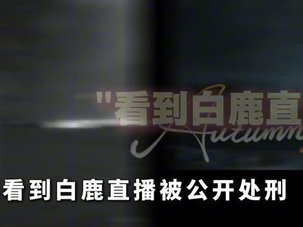 直到看到白鹿直播被公开处刑 才明白人品和路人缘到底有多重要! #鞠婧祎 #白鹿 #女性力量 #公益 #抖音精选
