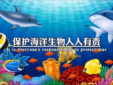 保护海洋生物,人人有责 @抖音小助手 #保护蓝色海洋保护海洋生物 #海洋生物 #海洋生物 #善待动物关爱生命
