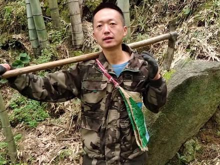 2023年10月14日挖冬笋,职业挖笋人把爱好当成一份工作!收获满满