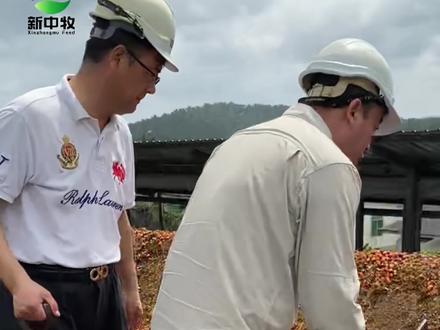 “江总拿着斧头就上去了”
“周总在旁边拿着的铁棍”
“这阵势是要干嘛?”
#饲料 #马来西亚 #棕榈 #棕榈仁粕