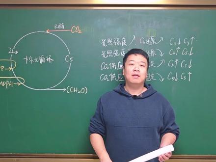 高中生物:光合作用——C3、C5转化规律推算
#高中生物 #高中 #高中生物怎么学 #光合作用 #抖音知识年终大赏