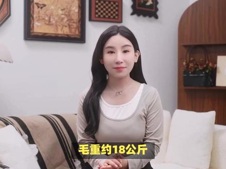 喜德盛山地自行车26款旭日310真假快速辨别,内行讲述