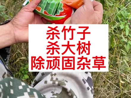 地边顽固灌木杂草太难处理了,可以试试这个杂竹净,杀竹子,杀大树,杀顽固灌木杂草效果都很好。3到6个月见效。#竹杂净 #杀竹子 #杀大树 #环嗪酮 #杀大树灭灌木 #环嗪酮颗粒使用方法 #环嗪酮使用教程 #环嗪酮杀大树 #环嗪酮杀竹子