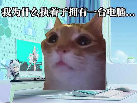 我为什么执着于拥有一台电脑 #华硕 #笔记本 #天选6Pro #ASUS #猫meme