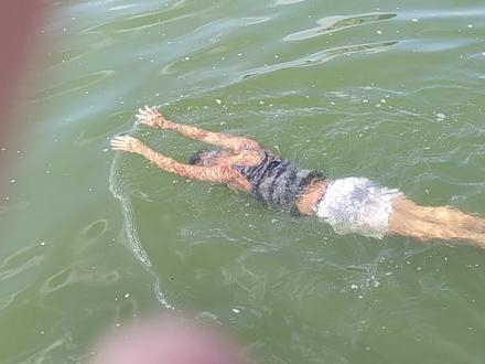 俯漂是自由泳的技术骨架,这就是长游10公里不累的神技!你听说过但很少见过!#户外游泳 #自由泳 #野泳