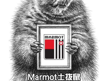 今天要讲的这个品牌,和始祖鸟、猛犸象齐名,户外圈称他们为一鸟二象三鼠,如果鼠在国内的认知度和境遇都不太好,今天我们就来了解一下它—Mamort土拨鼠。#户外运动 #始祖鸟 #mammut猛犸象 #marmot #marmot土拨鼠 #户外装备 #户外品牌 @DOU+小助手 #户外服装 #三亿人上冰雪
