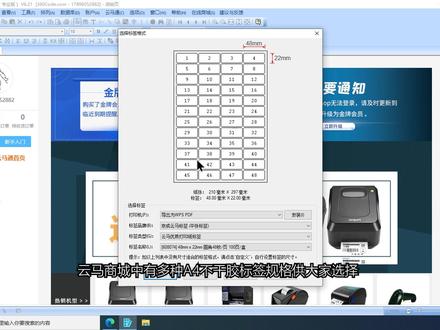 A4平张标签格式定义及打印 #可变数据打印 #A4标签 #打印软件