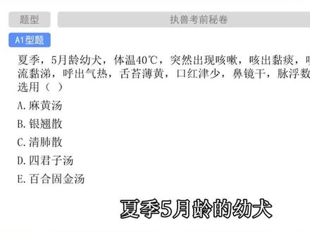 执兽考点之银翘散#执业兽医资格证 #执业兽医 #兽课网