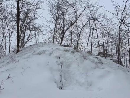 建造秘密冬季避难所以抵御极寒