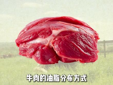 为什么炸鸡、炸猪排很常见,却很少听说过炸牛? #牛肉 #炸牛肉 #知识科普 #知识