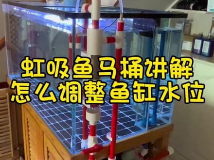 虹吸鱼马桶怎么调整鱼缸水位讲解#水族 #鱼缸过滤 #观赏鱼 #原生鱼 #养鱼养心