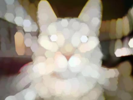 万千分身与我一体#严肃猫 #meme #哈基米 #猫咪