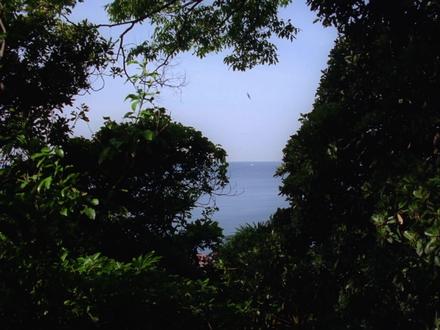 椿之庭 | 这不是电影,是一首流淌的俳句。 -
🎬《椿之庭》| 剧情 | 豆瓣 7.4
🎬 上映时间 2021-04-09
🗓️ 片长128分钟
🅰 日语
🏆 第31届日本电影评论家大奖最佳摄影奖
导演:上田义彦(Yoshihiko Ueda)
演员:富司纯子/沈恩敬/田边诚一/清水綋治/张震
-
“我们终将失去所有庭院,但电影帮我们记住了——如何盛开,如何凋零,如何与万物温柔相望。”
-
《椿之庭》是日本知名广告摄影大师上田义彦首次自编自导兼摄影的电影作品,也是他经过十年时间构想出的作品。这位以“静谧之美”横扫三得利、无印良品广告的视觉诗人,将镜头对准了神奈川县叶山町的海边老宅。庭院中四季轮转的山茶花、潮汐声里的晨昏、一帧帧如浮世绘的构图——这不是叙事电影,是用128分钟编织的东方物哀画卷。故事讲述了住在山茶花盛开的房屋中的祖母绢子和孙女渚,与一年内不时上门拜访的客人之间的互动,在四季中感受着庭院里的花草树木,以及疼惜着身边还陪伴着的家人们。女主角“绢子”由日本资深影后富司纯子饰演,片中的孙女“渚”由曾凭借《新闻记者》获得第43届日本电影学院奖最佳女主角的沈恩京饰演。此外还有田边诚一,铃木京香,清水綋治,张震等人共同出演。
-
既然是由摄影大师执导,画面自然是电影的一大看点。上田义彦对光影的把控达到了出神入化的地步,他善于运用自然光,营造出柔和、静谧且富有层次感的画面氛围。每一个镜头都宛如一幅精美的画作,尤其是对山茶花、日式庭院以及老宅内部的细节捕捉,将日式物哀美学展现得淋漓尽致。从祖母绢子精心修剪山茶花的场景,到孙女渚在庭院中与猫咪嬉戏的画面,每一帧都充满了诗意与宁静。老宅中的木质地板、和式屏风、古老的家具等元素,在光影的映衬下,仿佛都拥有了生命,默默地诉说着岁月的故事。电影的叙事看似平淡,实则蕴含着深厚的情感力量。它并没有跌宕起伏的情节,而是通过大量的留白与细腻的情感刻画,在静谧中感受到亲情的温暖、时光的流逝以及生命的无常。
-
影片中反复出现的美国民谣《Try to remember》,更是成为了情感表达的核心载体。这首歌曲在祖母的客厅中流淌了数十年,当它再次响起时,不仅唤起了祖母与丈夫的往昔回忆,也成为孙女对祖母思念的寄托。影片结尾,孙女渚独自走向新生活时,耳边再次响起这首歌,让人不禁热泪盈眶,感受到了一种跨越时空的情感传承。
-
#上田义彦 #椿之庭 #富司纯子 #沈恩敬 #张震