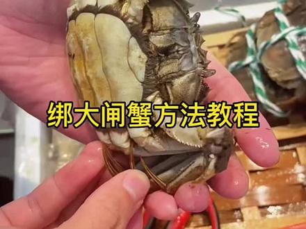 #绑大闸蟹教程来了 这样的方法你们学会了吗?