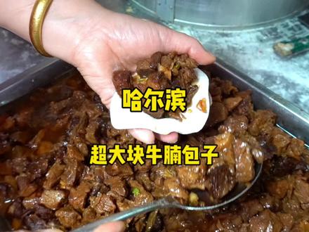去年就给我惊艳到的东北大包子今天我又来了!真的香迷糊了!#大口吃肉 #妈呀太香了 #酱肉包 #哈尔滨美食 #东北美食