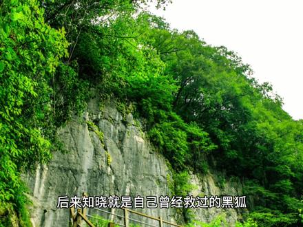 东北民间神话故事#东北民间故事 #民间故事