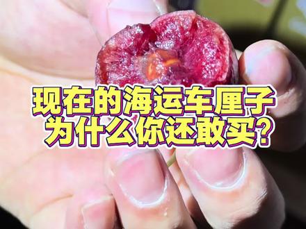 究竟是什么样的人?还敢买现在的海运车厘子!#车厘子
