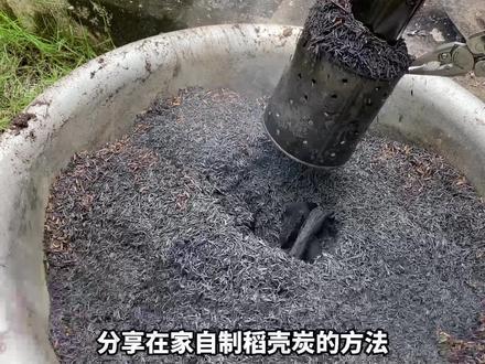 教你制作稻壳炭,它不但是一种天然磷钾肥,还能改善土质驱虫杀菌 #家庭种植 #有机肥料 #稻壳炭 #教程