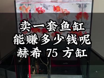 卖一台75底滤方缸大概能赚多少钱?这个视频讲的有2个搭配方式,根据自己的预算不同,可以搭配不同的设备,你喜欢这种鱼缸吗?#赫希鱼缸 #养鱼日记