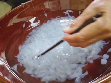 天热不想做饭,来看甘肃人的粉鱼鱼做法,简单快速,越吃越香!