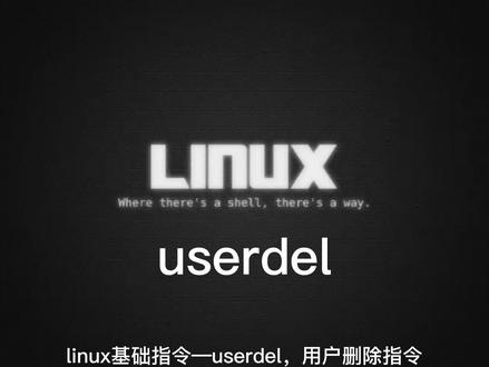 linux基础指令—userdel指令
#linux运维 #linux命令 #linux自学 #删除用户 #user