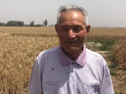 邳州古沂河历经数次改道,最初的河道就是大墩子~凤凰庄~良陂~乱墩~范墩~火石埠~梁王城。沿途河道至今沙层很厚