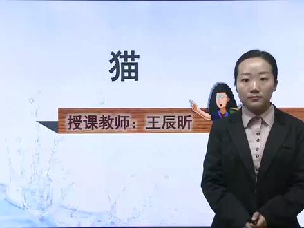 初中语文同步课 部编版 七上 第17课 猫