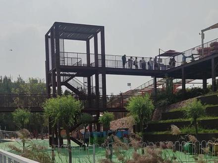 #亲子游玩好去处 #空气清新环境优美 就在河东区卫国道边上,原来的桥园公园里面,点赞收藏,去时翻出来看视频路线,推荐乘坐公共交通来