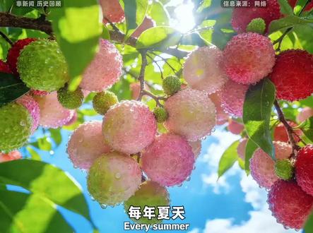 铺天盖地的广告只告诉你它有多甜,却隐瞒了流传千年的保命禁忌。转给家里带娃的长辈和朋友,别让甜蜜变成家庭无法承受的痛!#健康科普 #育儿经验 #儿童安全 #荔枝病 #生活真相