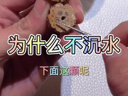 视频做到这里,大家选择的时候不要为他的肉满而被迷惑,记住沉水才是王道!喜欢我的事情记得关注#金刚菩提手串