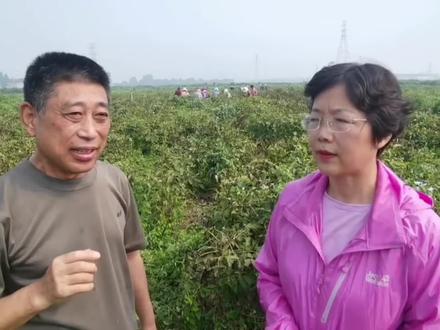 牡丹籽油的主要特点