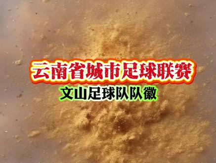 文山足球队即将参加云南省城市足球联赛(滇超)。队徽设计理念:主体是盾牌造型,象征着守护与力量,契合足球比赛中团队协作、捍卫荣誉的精神。上方的五角星,既代表着荣誉与目标,也呼应了文山地处边疆,与国家紧密相连的属性,彰显着球队对卓越的追求以及家国情怀。 中间醒目的“文山”字样,直接点明球队所属地。下方的足球元素,是球队核心属性的直观体现,代表着足球运动。旁边的三七图案极具特色,三七是文山的标志性特产,将其融入队徽,既展现了文山的地域文化与特色物产,也寓意着球队如三七扎根大地般,在足球领域深耕,汲取力量、蓬勃发展,同时也传递出文山借助足球运动,让地方特色与体育精神相互交融、走向更广阔舞台的愿景。整体设计将文山的边疆地域、特色物产与足球运动完美结合,富有辨识度与文化内涵。#滇超 #文山足球队#队徽