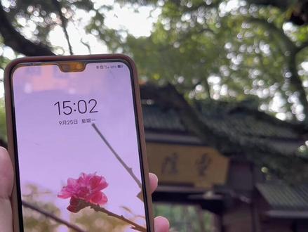 灵隐寺一线天捡来的百年无患子
在灵隐寺一线天FO像下捡了好多无患子,自己洗净打孔串成串,戴上寓意无忧无患,自己做的,又是在灵隐寺土生土长的东西,串起来戴上感觉比灵隐其他商pu卖的东西有意义多啦!!!
上网查了一下:无患子,又名木患子,是唯一有经书记载的菩提子《佛说木患子经》,现有108颗被陈列于北京故宫博物院,也是清朝故宫里菩提子朝珠的原材料,随身佩戴无患子,寓意无忧无患。#大自然的馈赠 #万物皆可盘 #无患子 #灵隐寺 #好东西一起分享