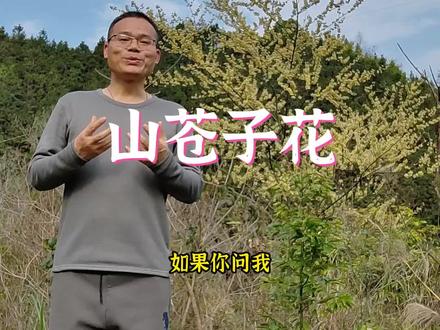 春天万物复苏,大瑶山上最好看的花是它!#三农 #野生植物 #大自然的馈赠