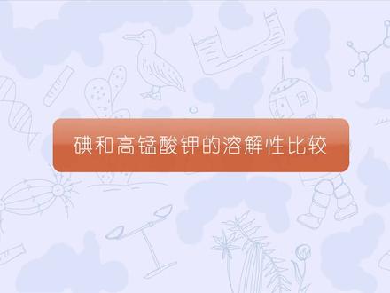 初中化学第九单元溶液:碘和高锰酸钾溶解性比较#化学实验