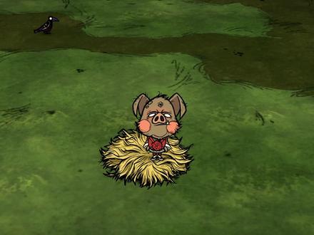 饥荒联机神话书说:开局前往寄居蟹奶奶的家和她一起过 #饥荒