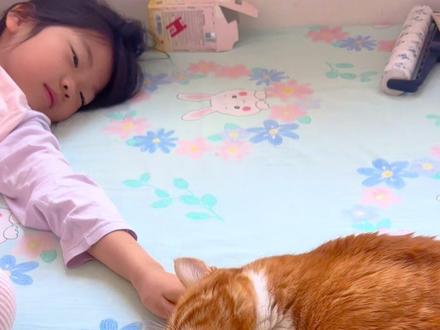 得劲魔法!小猫爱你就对你使用得劲魔法#猫咪 #萌宠出道计划 #我和我的猫 #猫咪日常