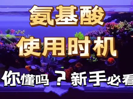 海缸中氨基酸使用时机,你懂吗?新手必看!
妙本哈里海缸大神说:
很多人的珊瑚颜色淡或者状态不好的时候,会考虑往缸里加点氨基酸来提升珊瑚状态或者颜色,其实这种做法是一种误导,这时候你加了氨基酸反而会起到反作用,因为珊瑚不出状态的时候是吸收不到营养的,正确的说吸收的很少,可以说吸收的不到你添加的10%,那另外的90%就成了系统的负担,最后就是坏了水质。
你可以试想下,当你珊瑚状态不好时,你添加了氨基酸,只有第二天能看到珊瑚状态好了点,第三天开始珊瑚状态会变得更差,因为营养不吸收,坏的水质导致珊瑚状态更差。
那么什么时候添加氨基酸更好呢?当珊瑚状态出毛、出须非常好的时候,我们可以减半添加氨基酸,让健康的珊瑚吸收到更多的营养,同时剩下的营养也丰富了水体微生物,这样添加氨基酸会起到事半功倍的效果。
还有什么没说清楚的,欢迎大家评论区不和谐讨论。
点赞、关注 一起简单开心玩海缸!
#氨基酸 #海缸 #海缸日记 #海水鱼珊瑚 #珊瑚缸