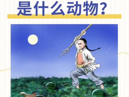 闰土刺的猹,到底是个啥动物?#科普 #冷知识 #搞笑