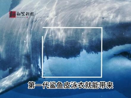 被国际泳联禁用的物理外挂,原来鲨鱼皮泳衣竟然这么牛