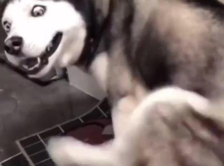 三招设置,电脑告别卡顿 #笔记本电脑 #数码 #电脑知识 #游戏本 #七彩虹笔记本