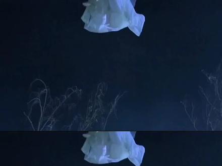 无限之前 唯见悲怜#霹雳布袋戏 #国漫