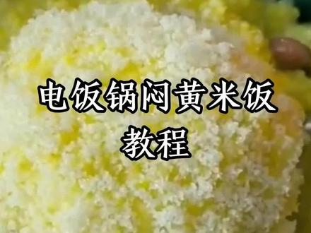 #优质农产品#大黄米#家乡美食 大黄米饭焖饭教程,学起来吧