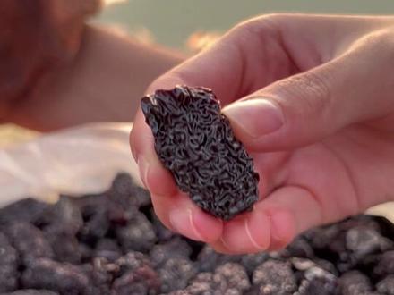 抓紧时间多囤一点 正宗无糖的秦岭紫晶黑枣 #紫晶黑枣 #优质农产品 #家乡特产 #三农