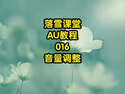 016 有声书主播、视频配音AU中声音处理流程,音量调整,音量大小,声音录制,声音降噪后期教程,au教程#剪辑教程 #音量调整 #au教程 #au学习 #声音调整