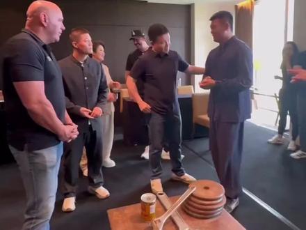 看着跟没有似的#鸽武缘 #通背拳