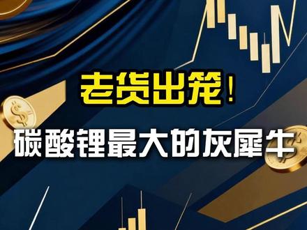 老货出笼,碳酸锂最大的灰犀牛 #大宗商品 #宏观经济 #碳酸锂 #锂价